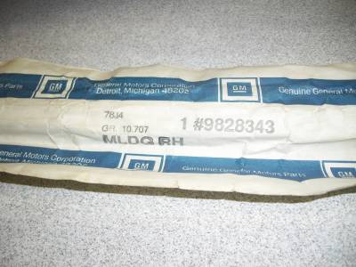 GM Restoration Parts - 1970-81 CHEVY CAMARO WINDOW REVEAL STAINLESS MOLDING - NOS