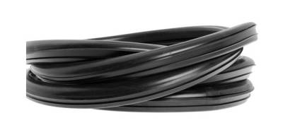 impala door weatherstrip